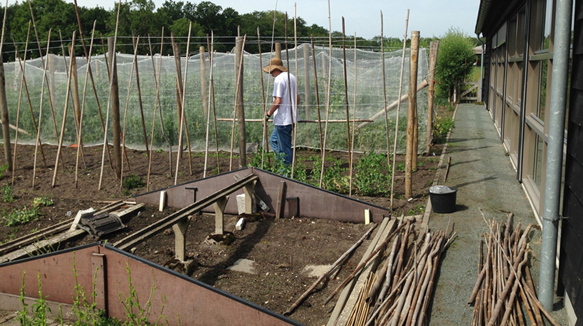 moestuin stadzicht 1