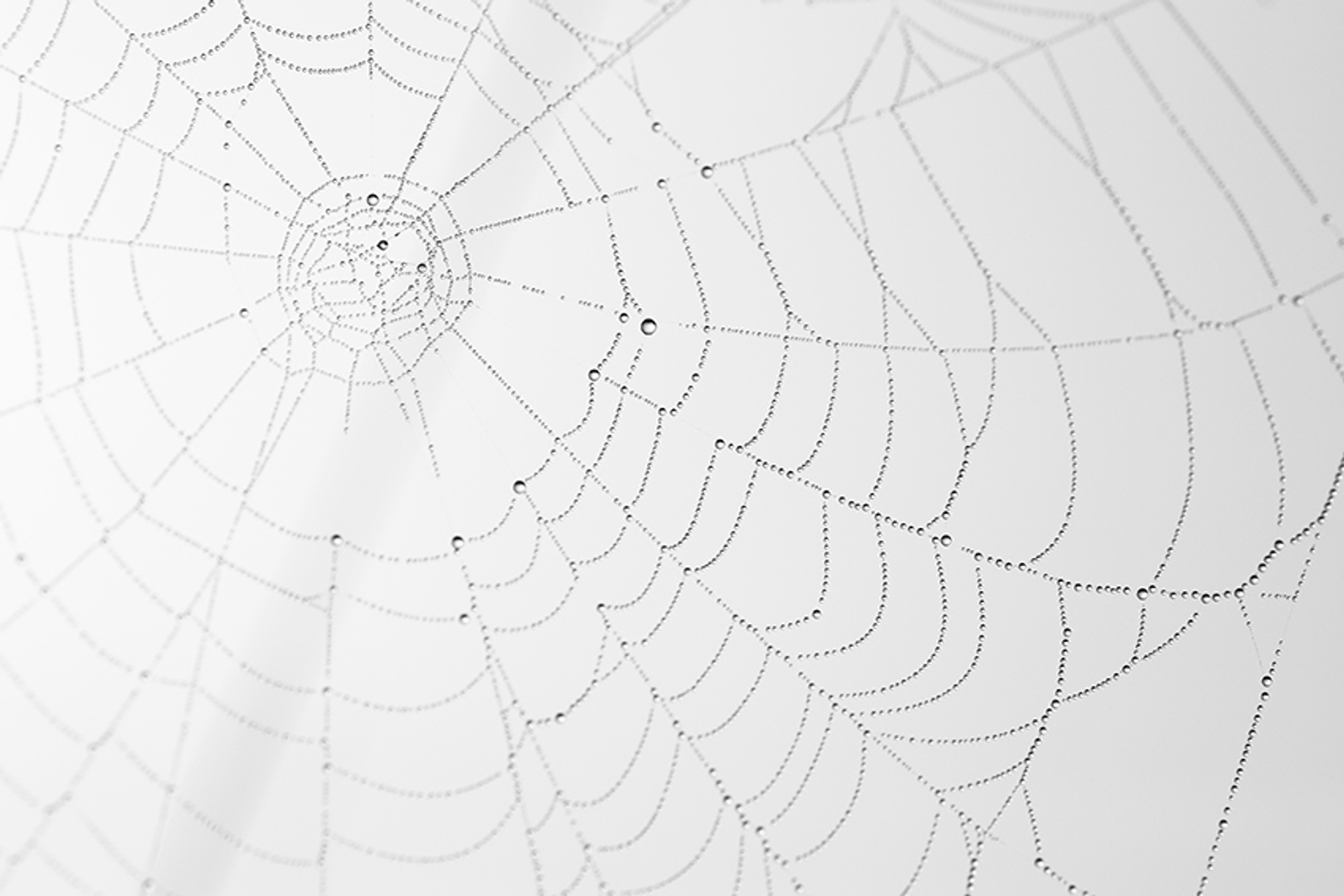 cid38704_hetwebzonderspin_DucoSlooff_Zeist_Winnaar-Kids