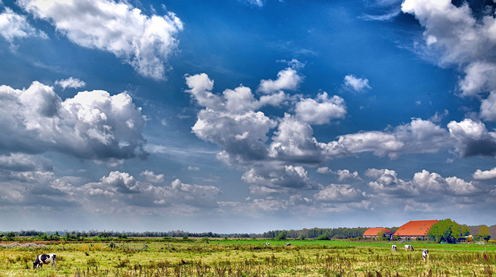 hollandse lucht