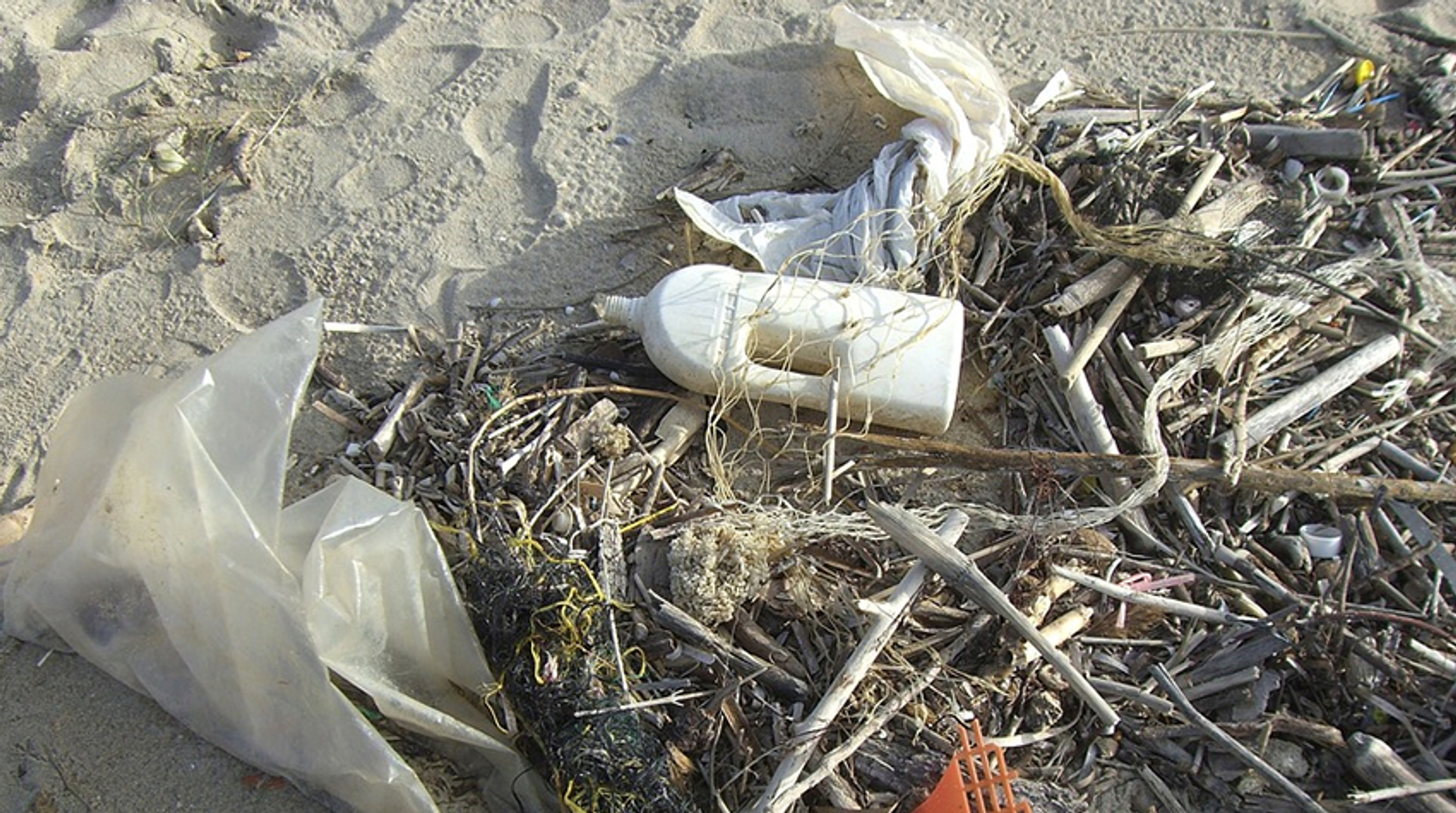 Afbeelding van Ook Noord- en Oostzee ernstig vervuild met plastic