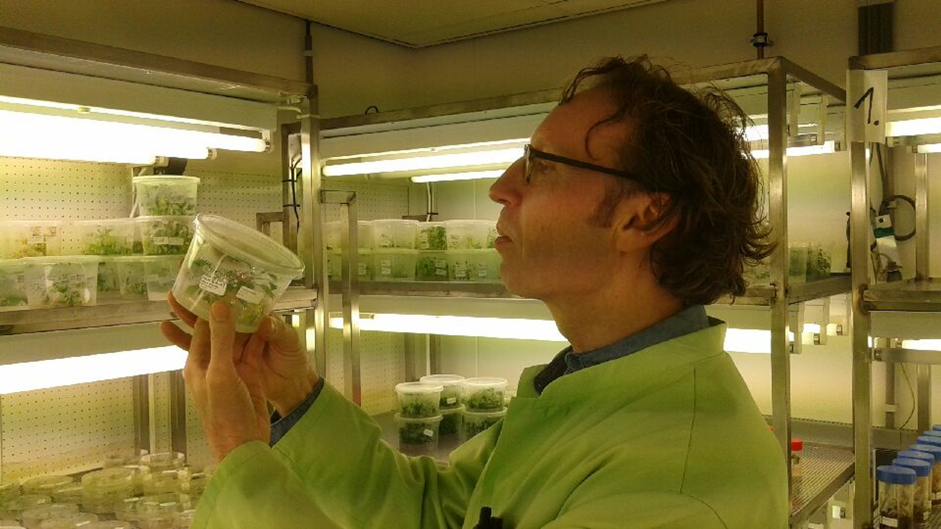 Jan Schaart CRISPR-Cas