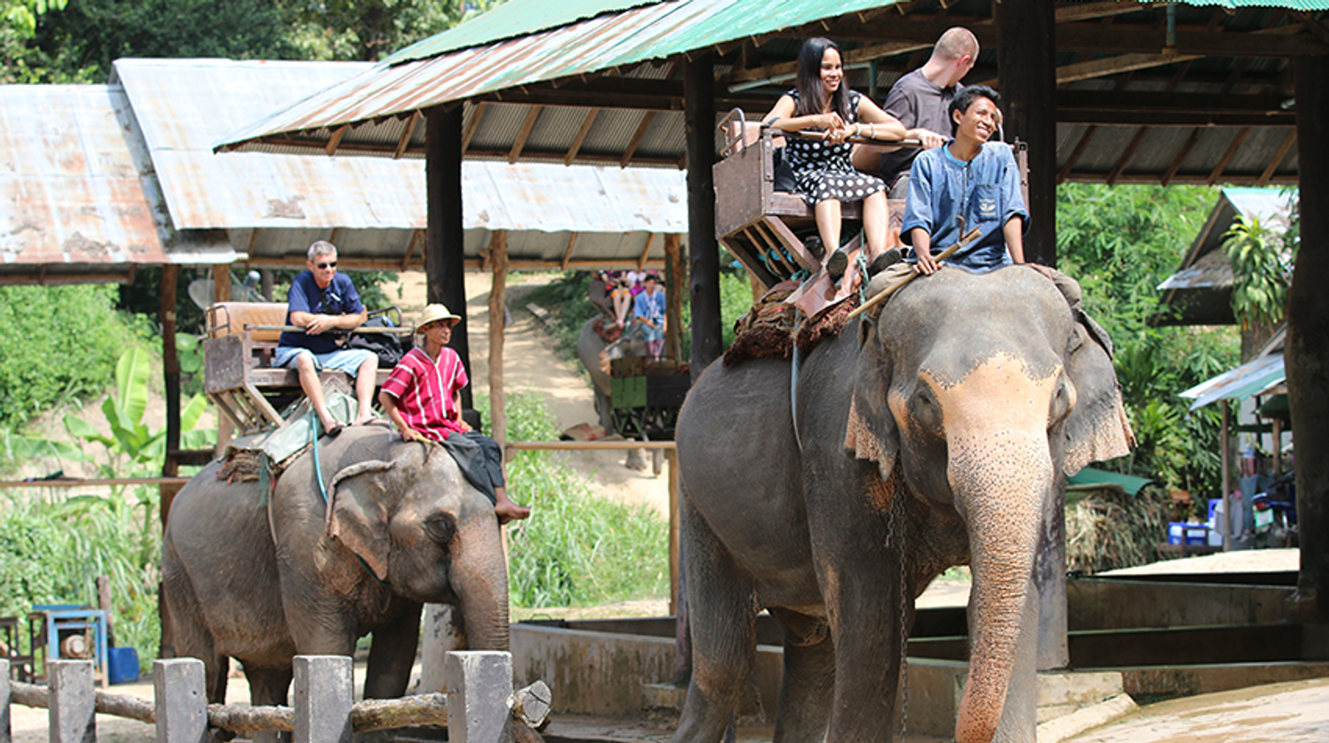 Afbeelding van Geen olifantenritten meer bij Cambodjaans tempelcomplex