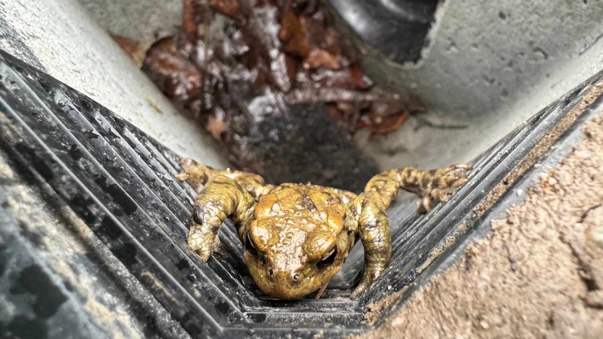 pad klimt uit de put