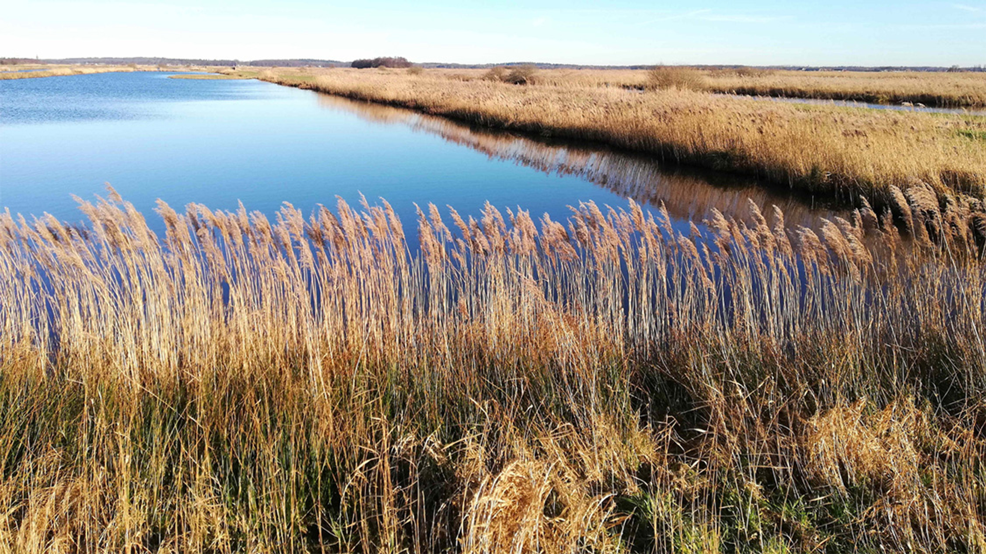 Provincie Utrecht ontvangt 1700 reacties op plan Landelijk Gebied