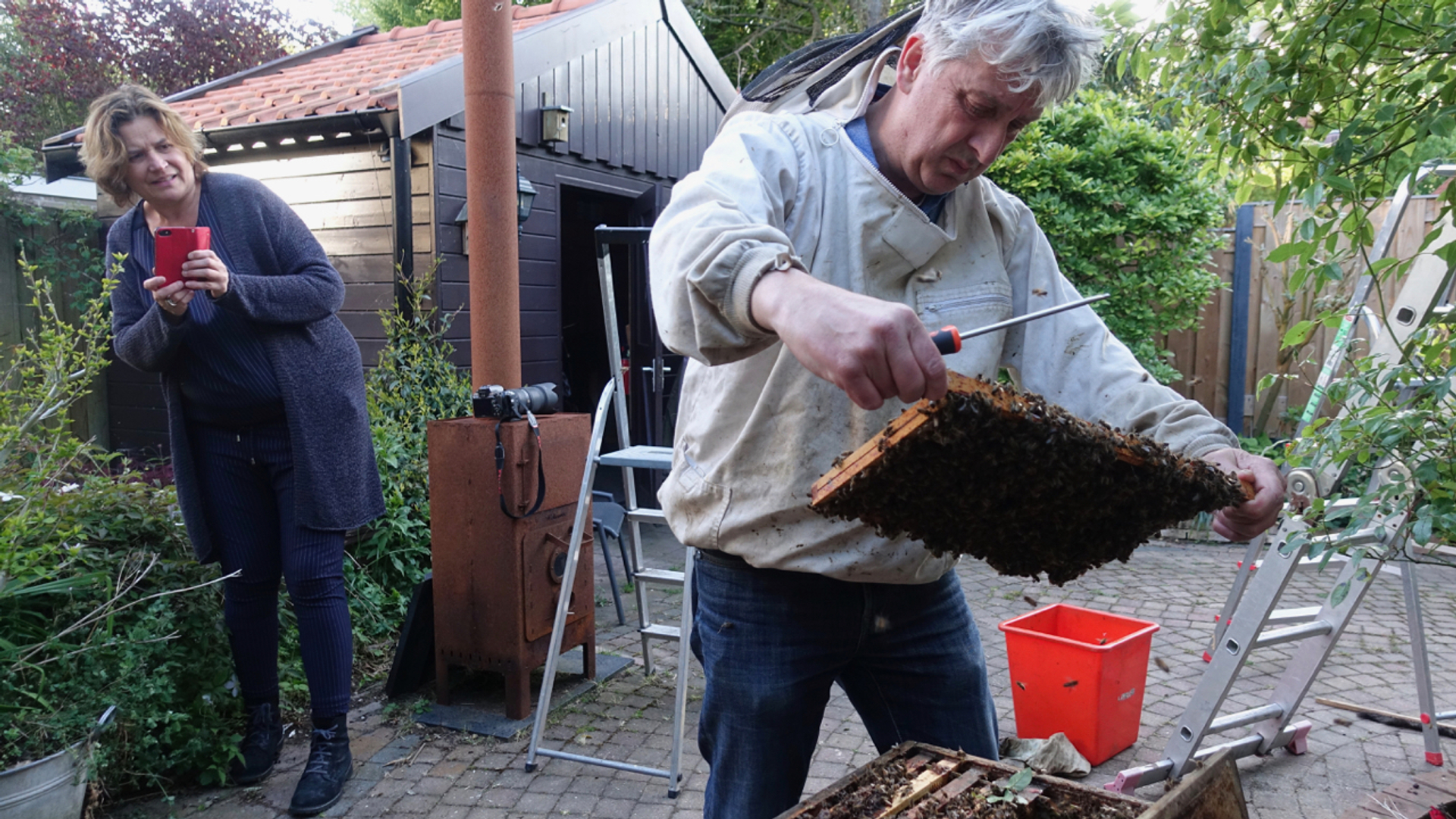 Buurvrouw met bijenzwerm