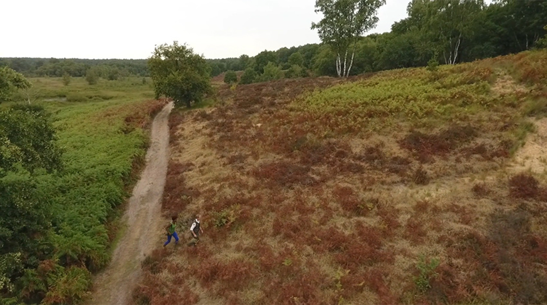 Brand bij Nationaal Park De Meinweg onder controle