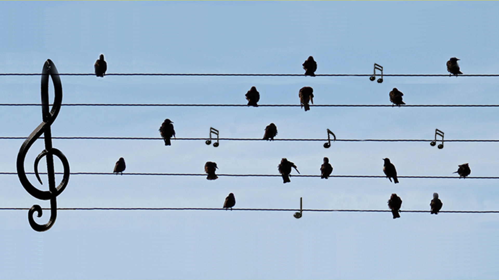 Afbeelding van Muziek 5 januari 2025