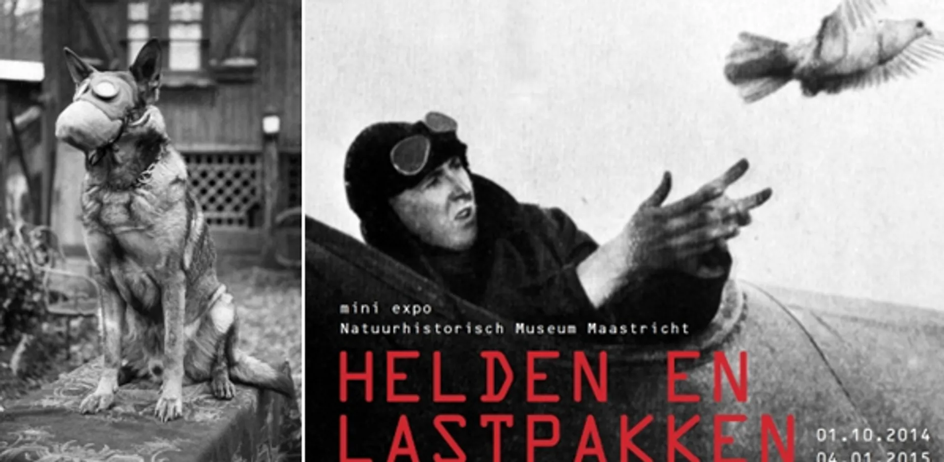 helden
