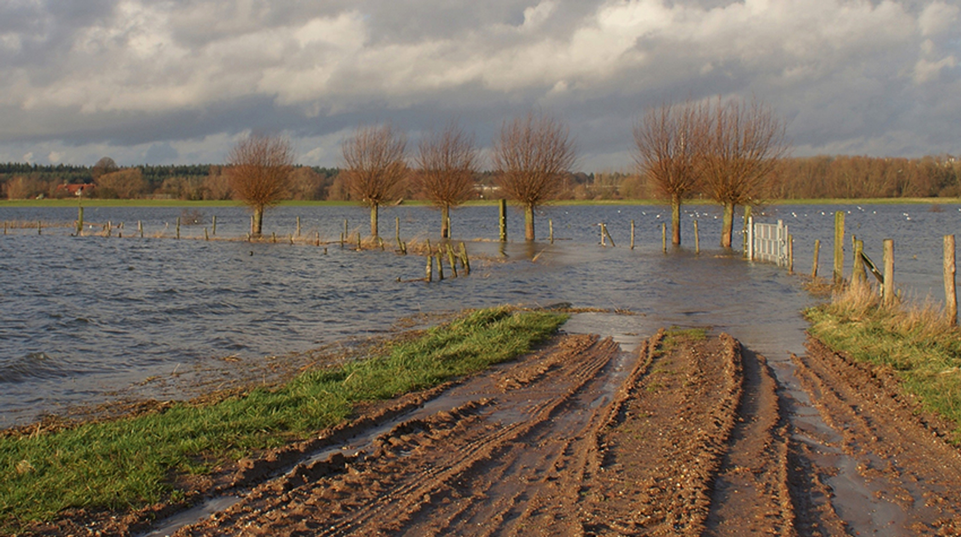 wageningen_rijn_1968Tj