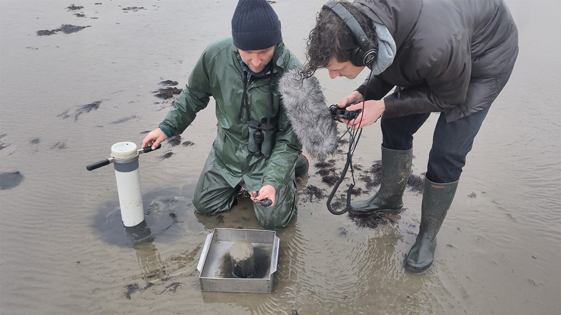 Onze natuur betaalt de prijs voor gaswinning in de Waddenzee