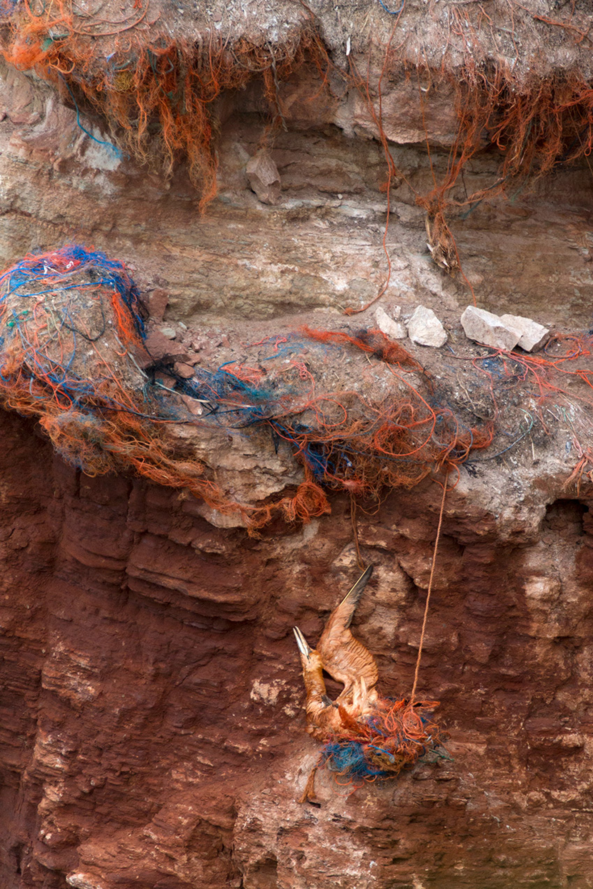 cid26961_Plastic-dood_Dirk-Hoogenstein_Utrecht_Winnaar-Young-Talent