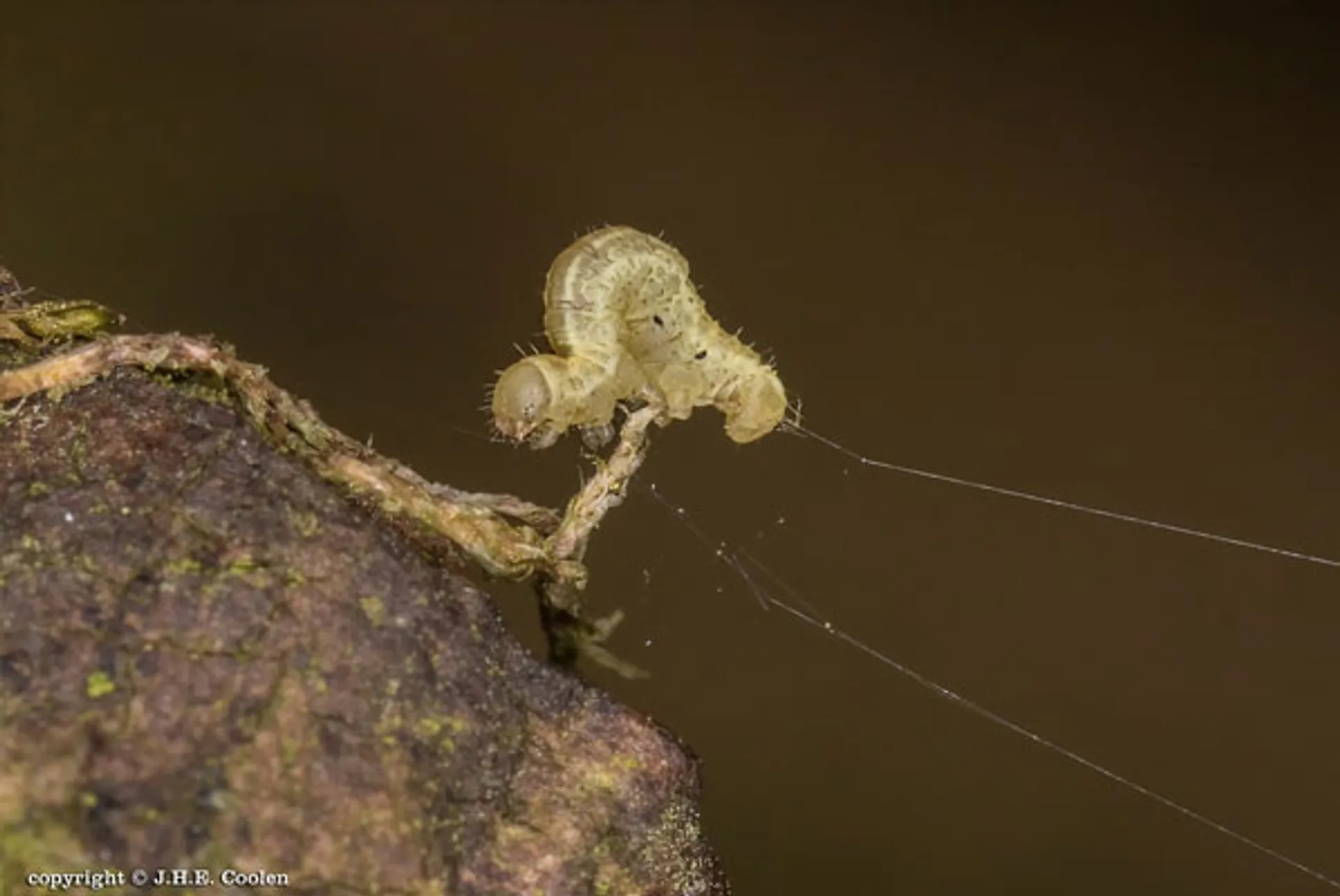 spanner-2-jancograve