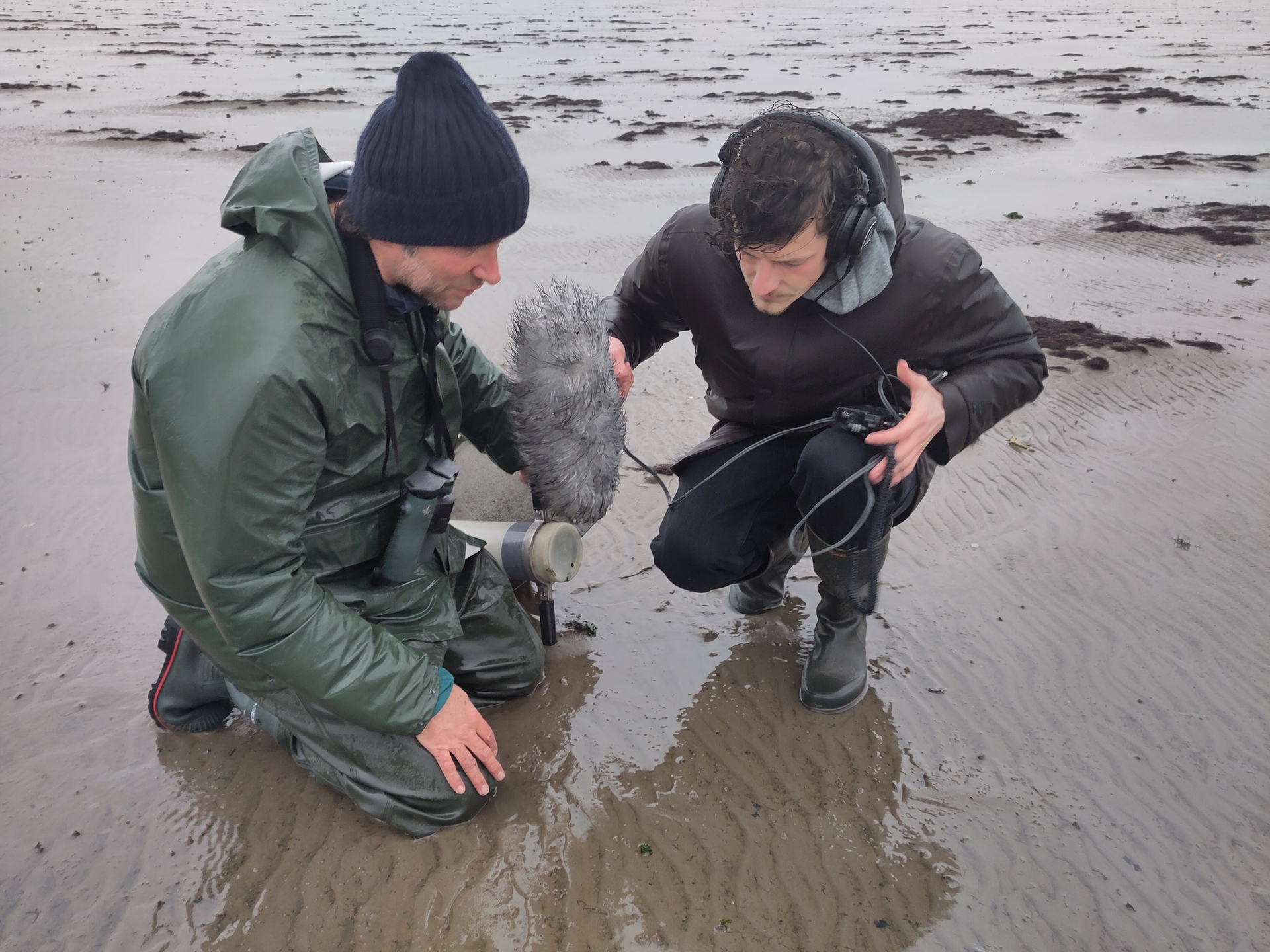 Waddenzee