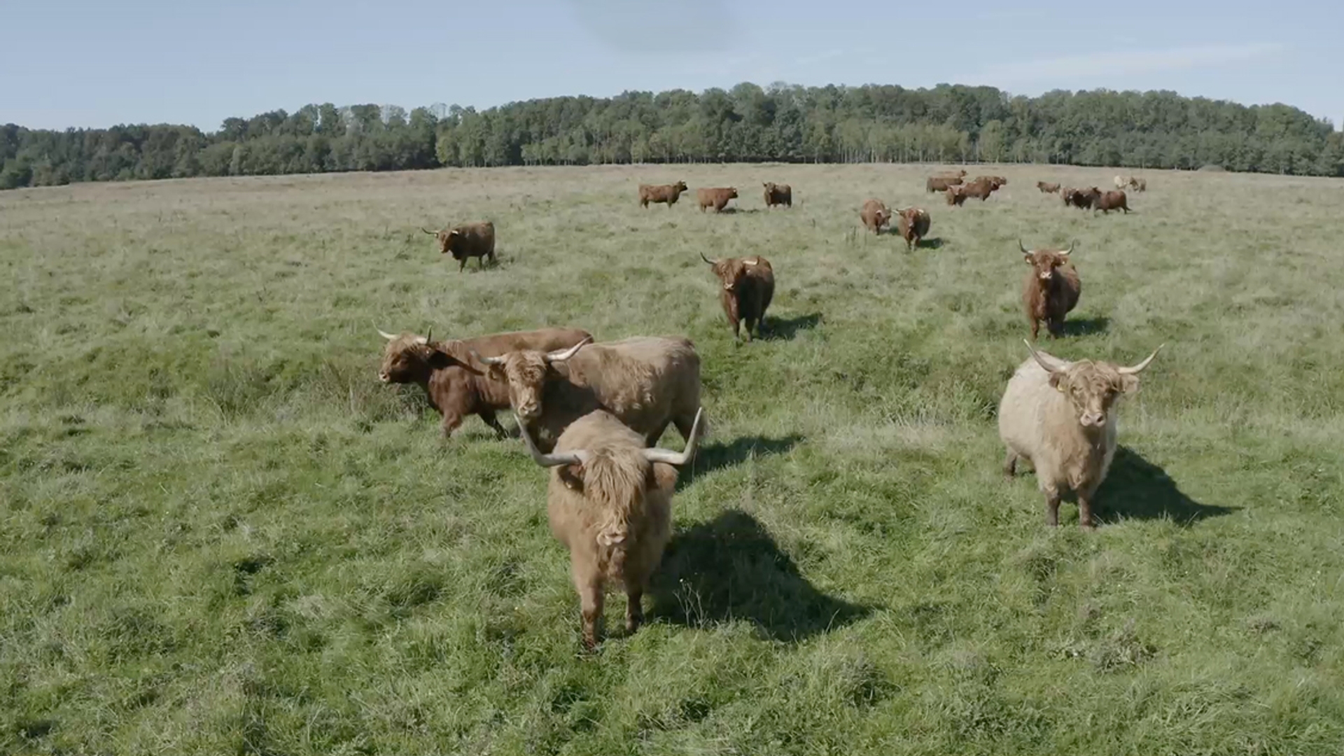 Stuwwallen Als Eilanden Tussen Akkers In Groningen Vroege Vogels