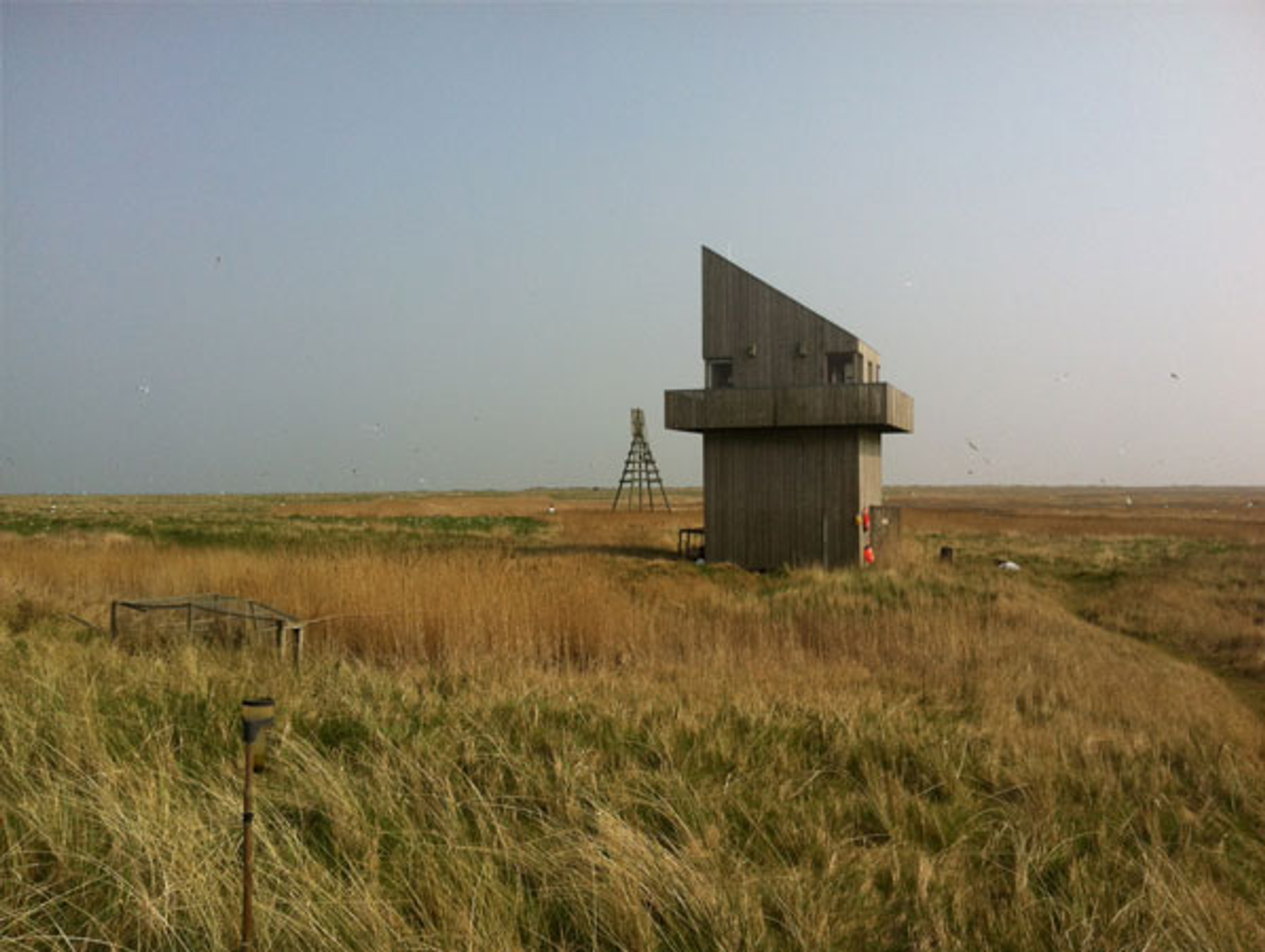 Griend-5