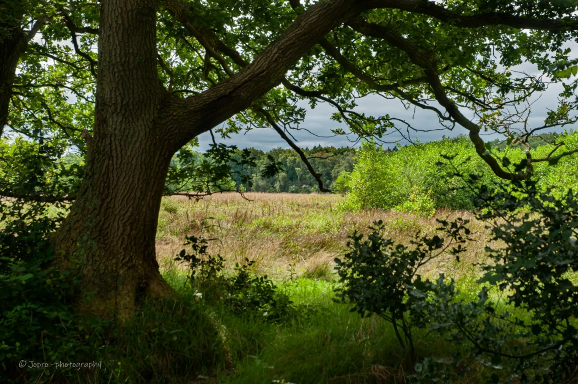 norgerholt_61265c9a6696c_medium