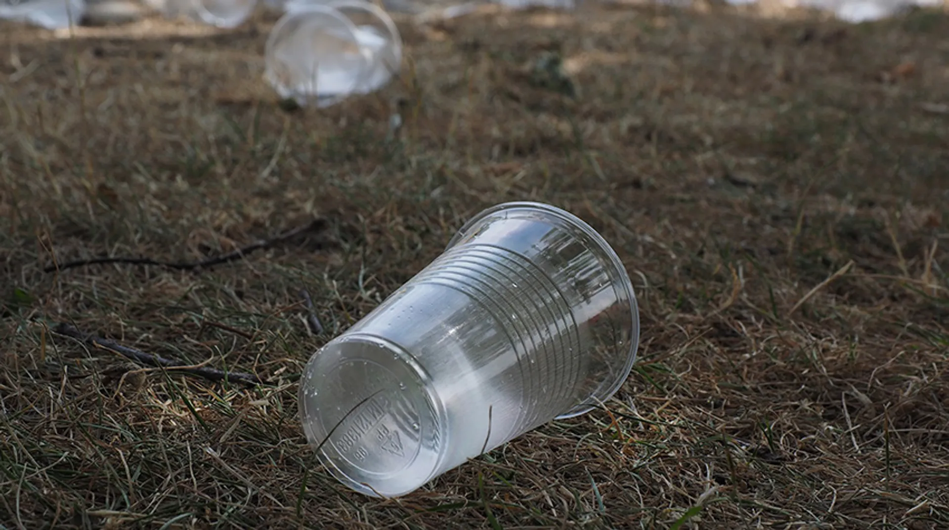 Afbeelding van Grootste deel rivierafval bestaat uit plastic
