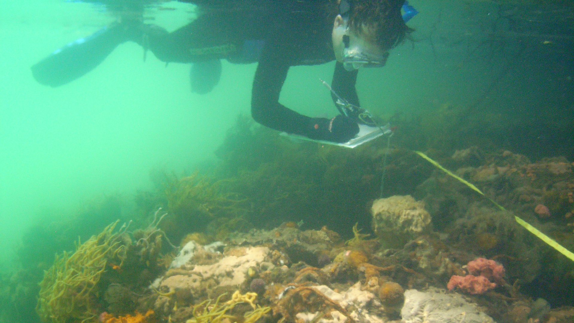 lisa-in-lake_santodomingo