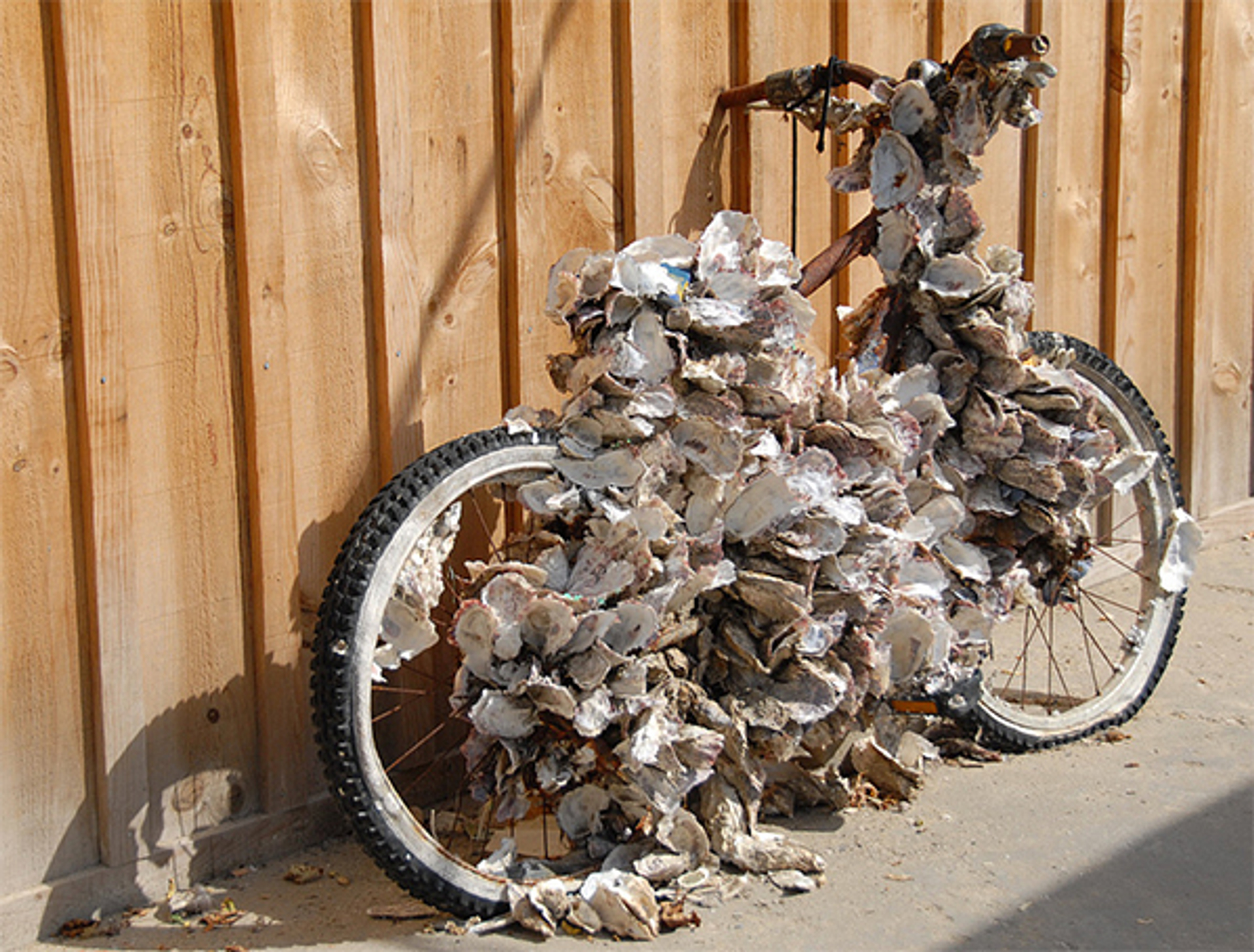 oester_fiets_Stevenhagen