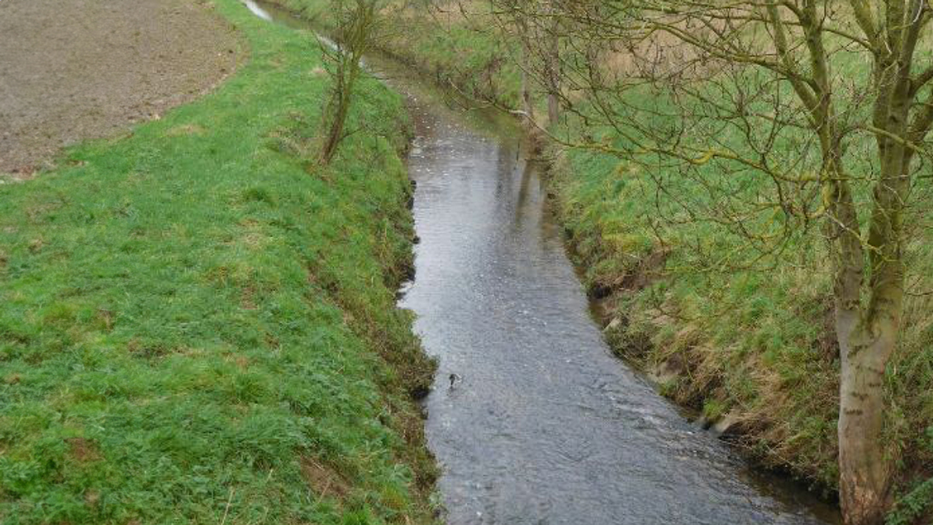 Chemelot onder druk: Milieuclubs tegen lozen van afvalwater