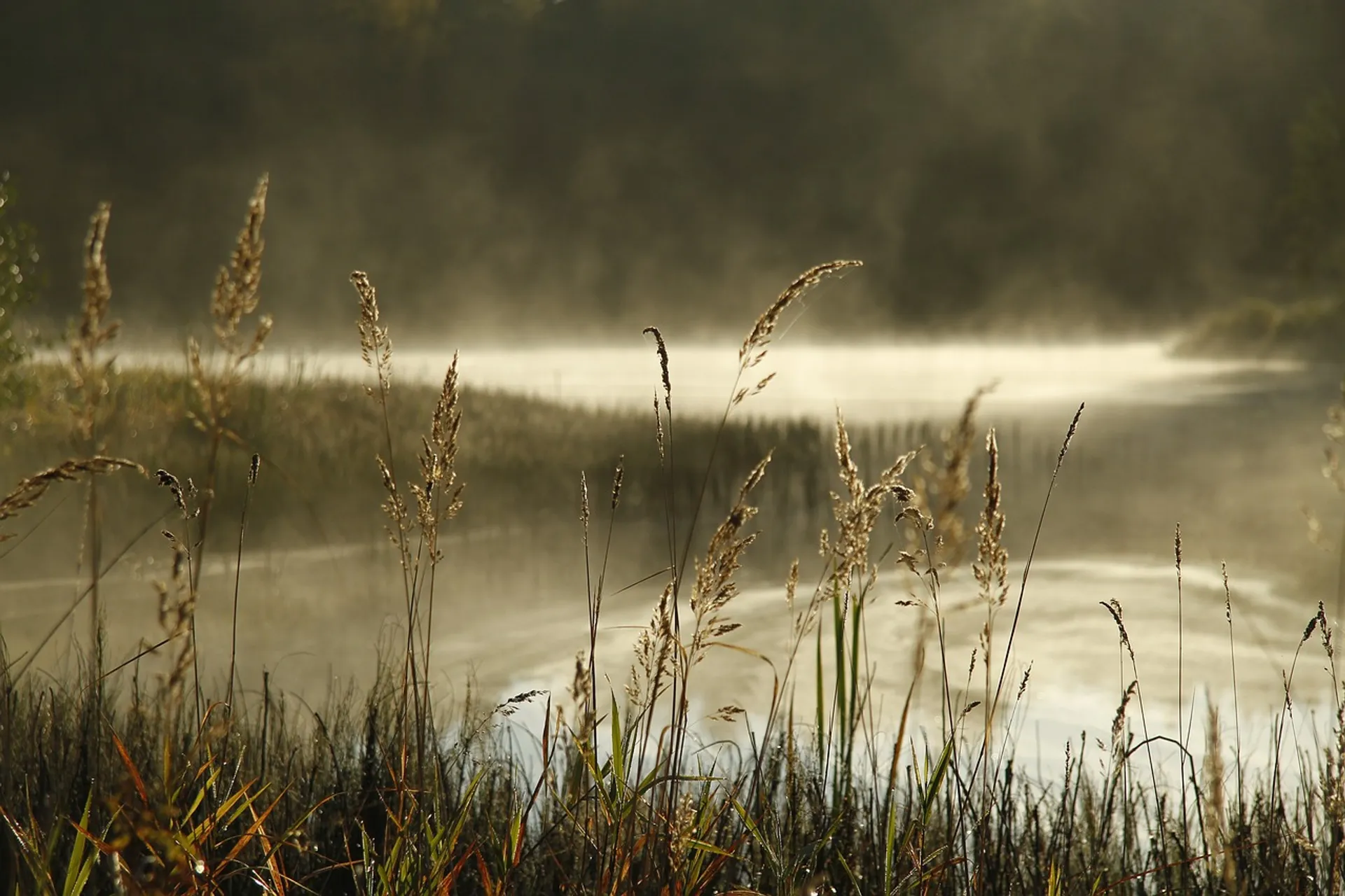 Opnieuw insecticiden aangetroffen in water bij kassengebied Bleiswijk