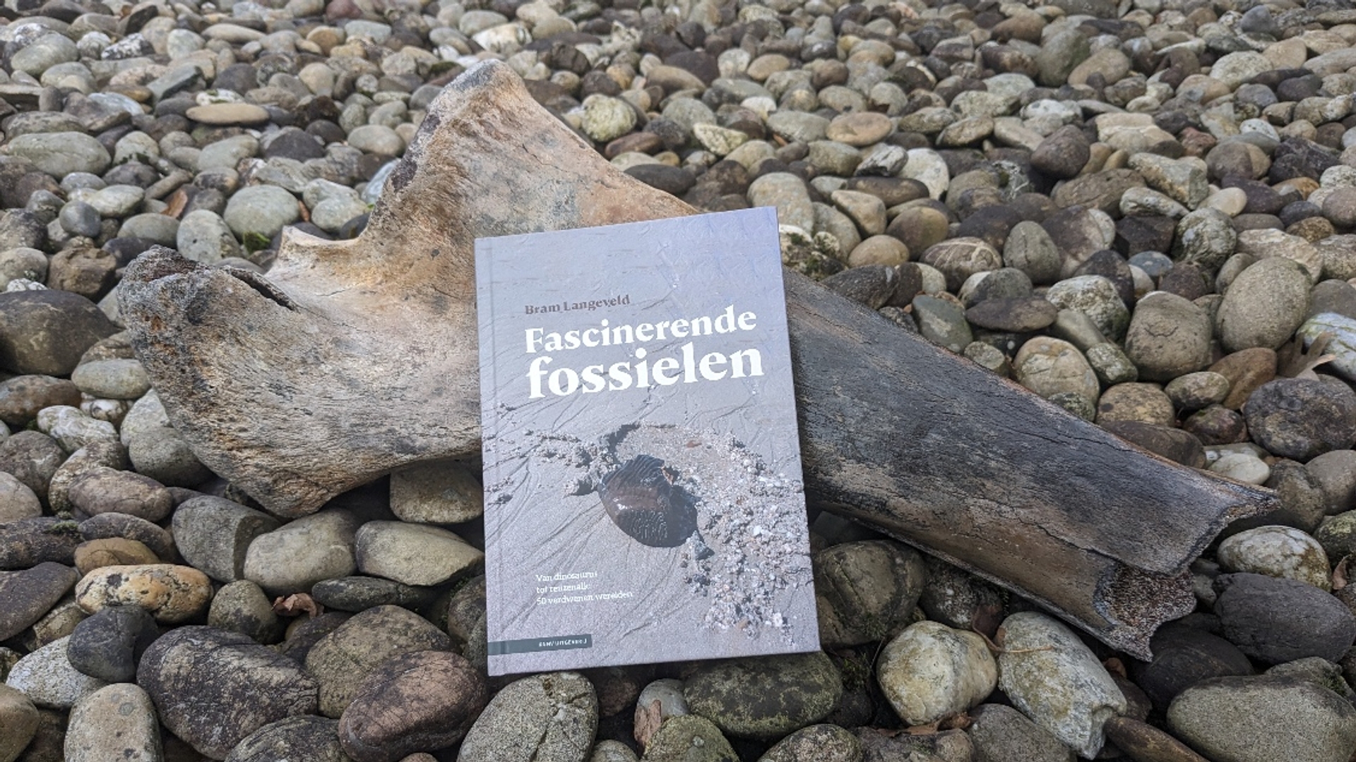 fascinerende fossielen_crop