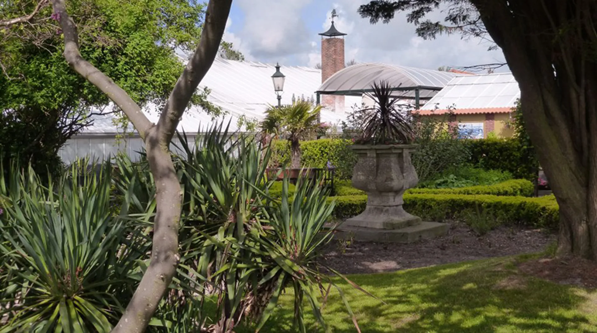 Afbeelding van Hortus Overzee - de lakboom