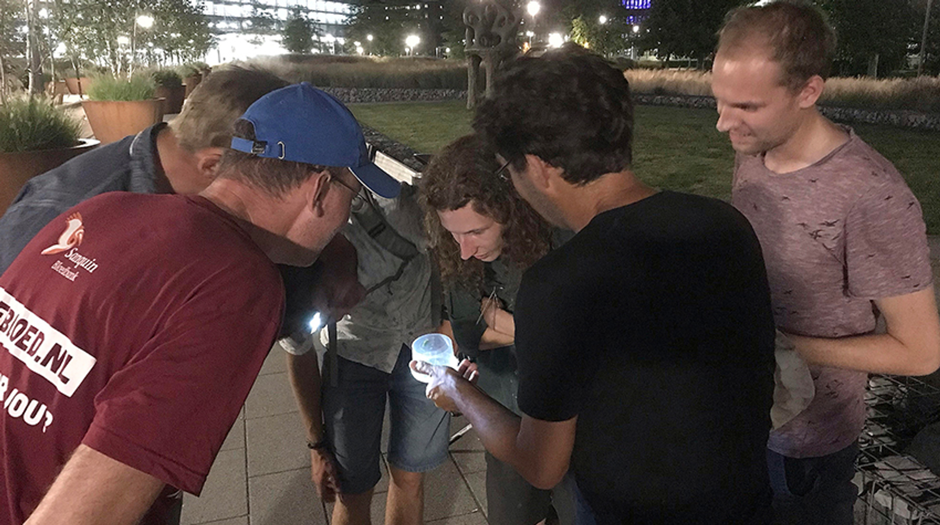 grote spitskop ontdekt