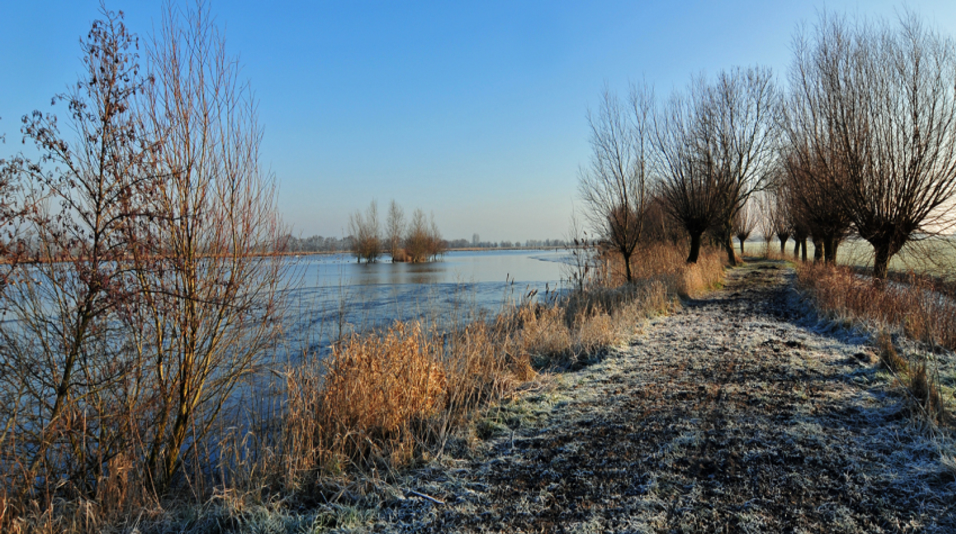 Hoogheemraadschap legt waterberging aan in Utrechts natuurgebied