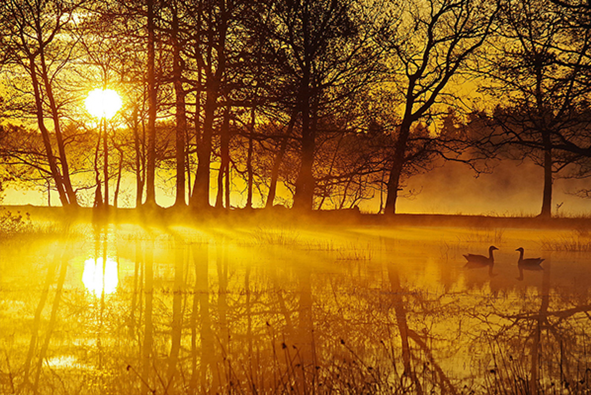 Zonsopkomst5_ChrisRuijter