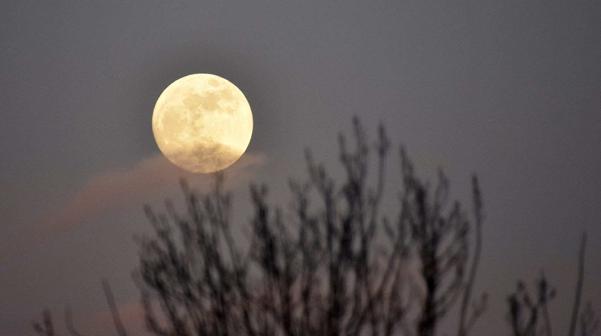 Volle maan