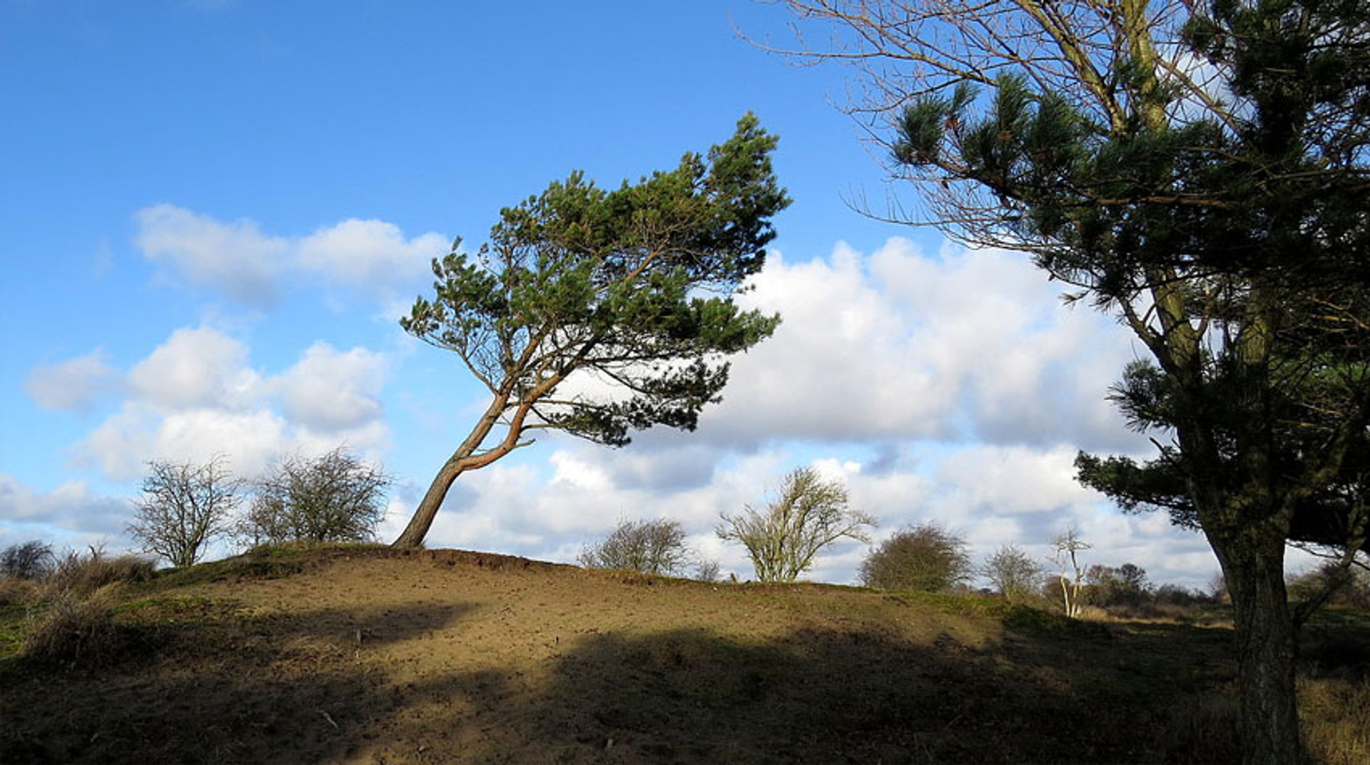 Wind uit zee. Fotograaf: jokevandepoppe