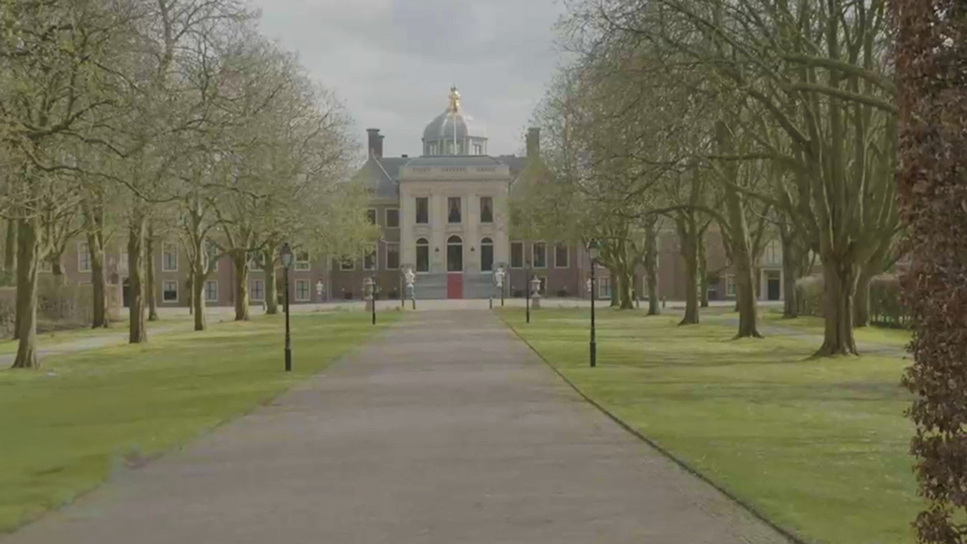 Het Haagse Bos: oudste natuurgebied en midden in de stad - Vroege Vogels