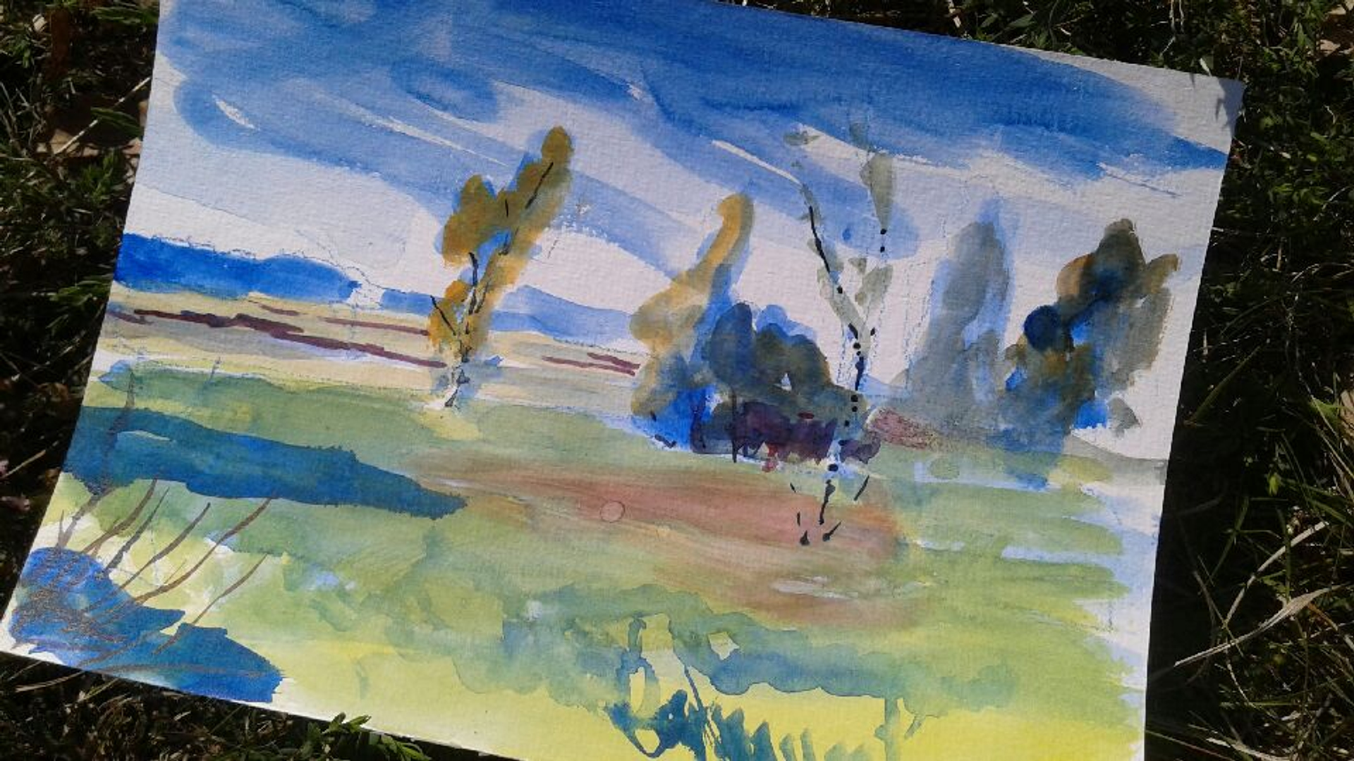 Ecoloog Frans Smeding schildert het heischrale grasland