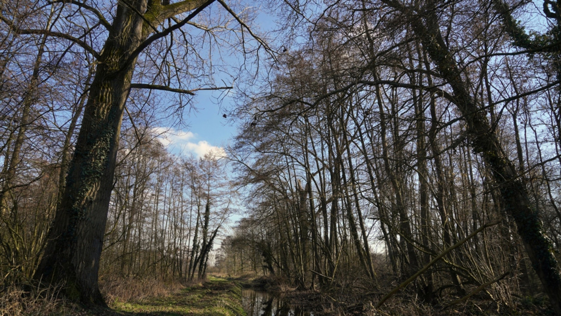 Afbeelding van Nederland gaat klimaatdoelen hoogstwaarschijnlijk niet meer halen