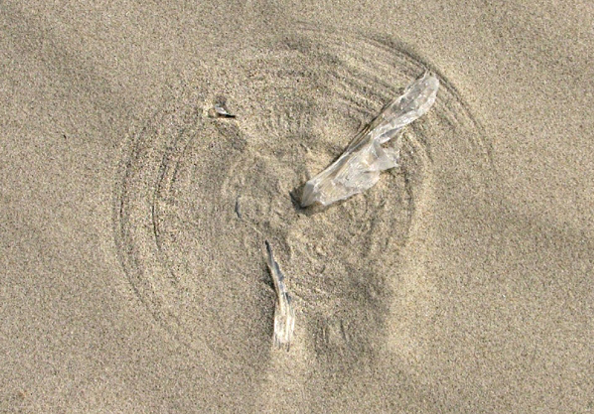 strandplastic_bverbruggen