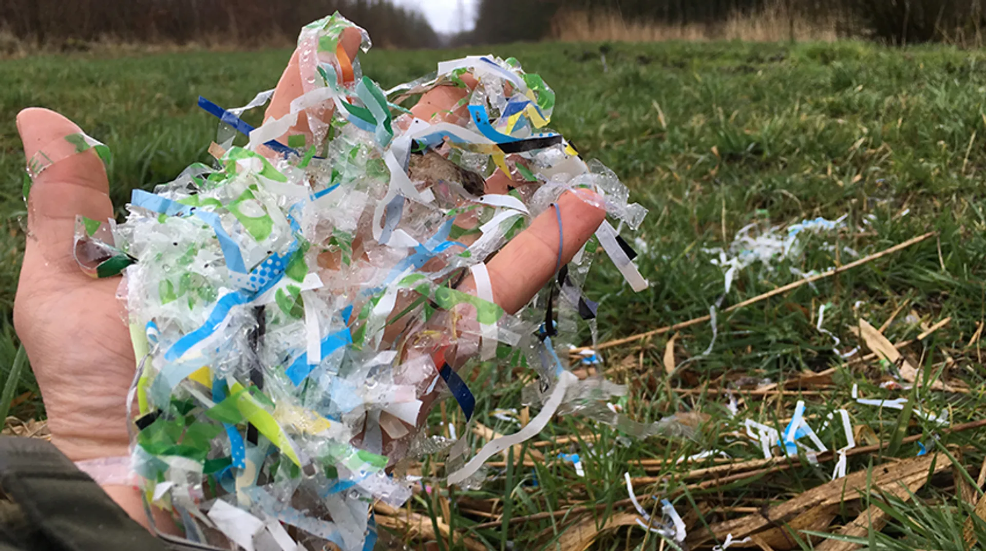 Afbeelding van Honderdduizenden plastic sliertjes gedumpt in natuurgebied