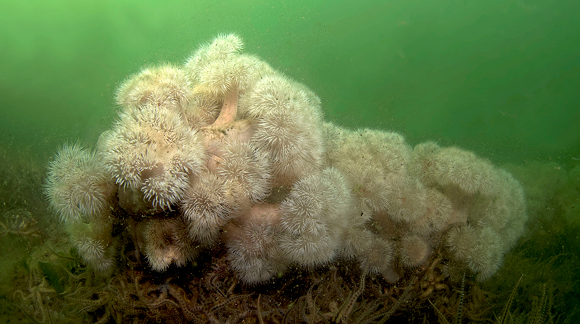 AnjelierenOosterschelde_MarionHaarsma