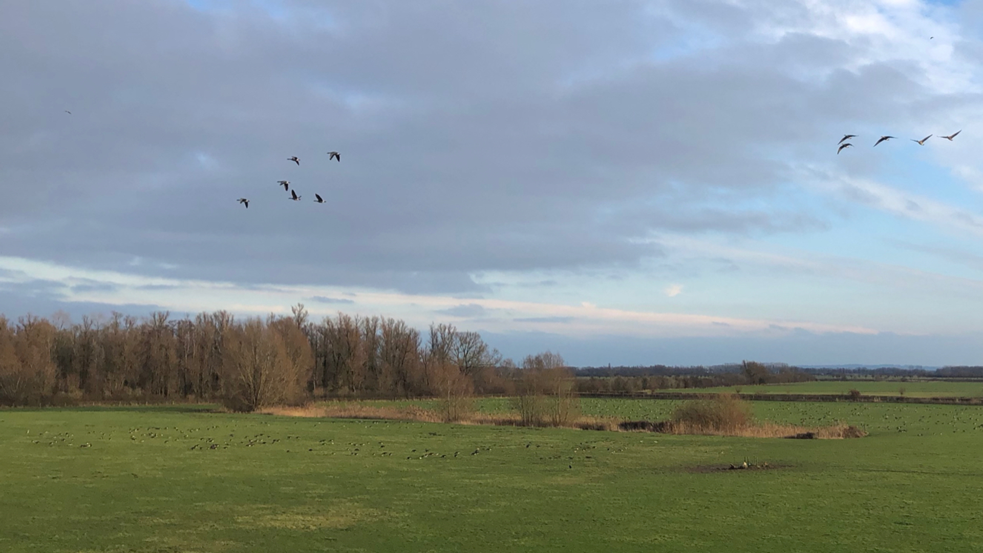 Living Lab Ooijpolder (c) Rob Buiter