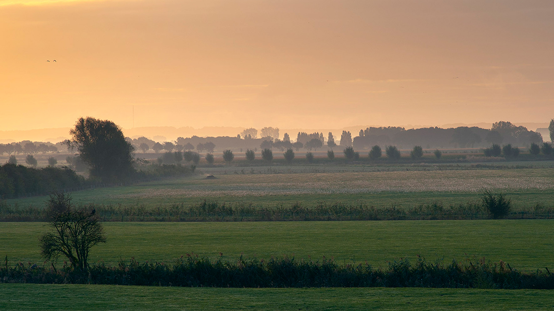 Ooijpolder