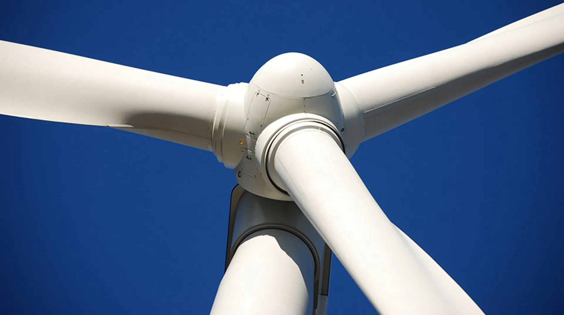 Afbeelding van Groene Hart opent volgend jaar mogelijk voor windmolens