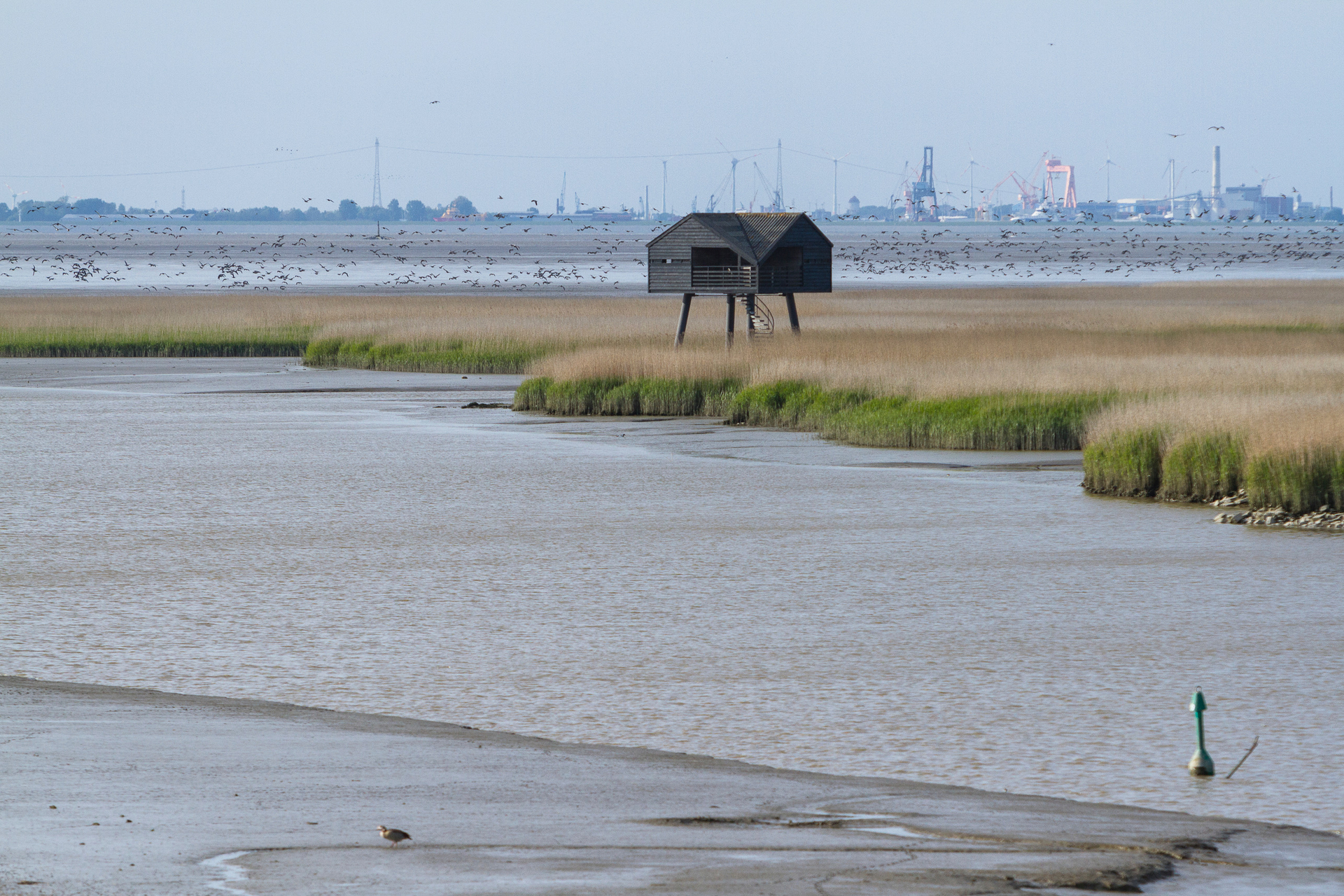 polder Breebaart