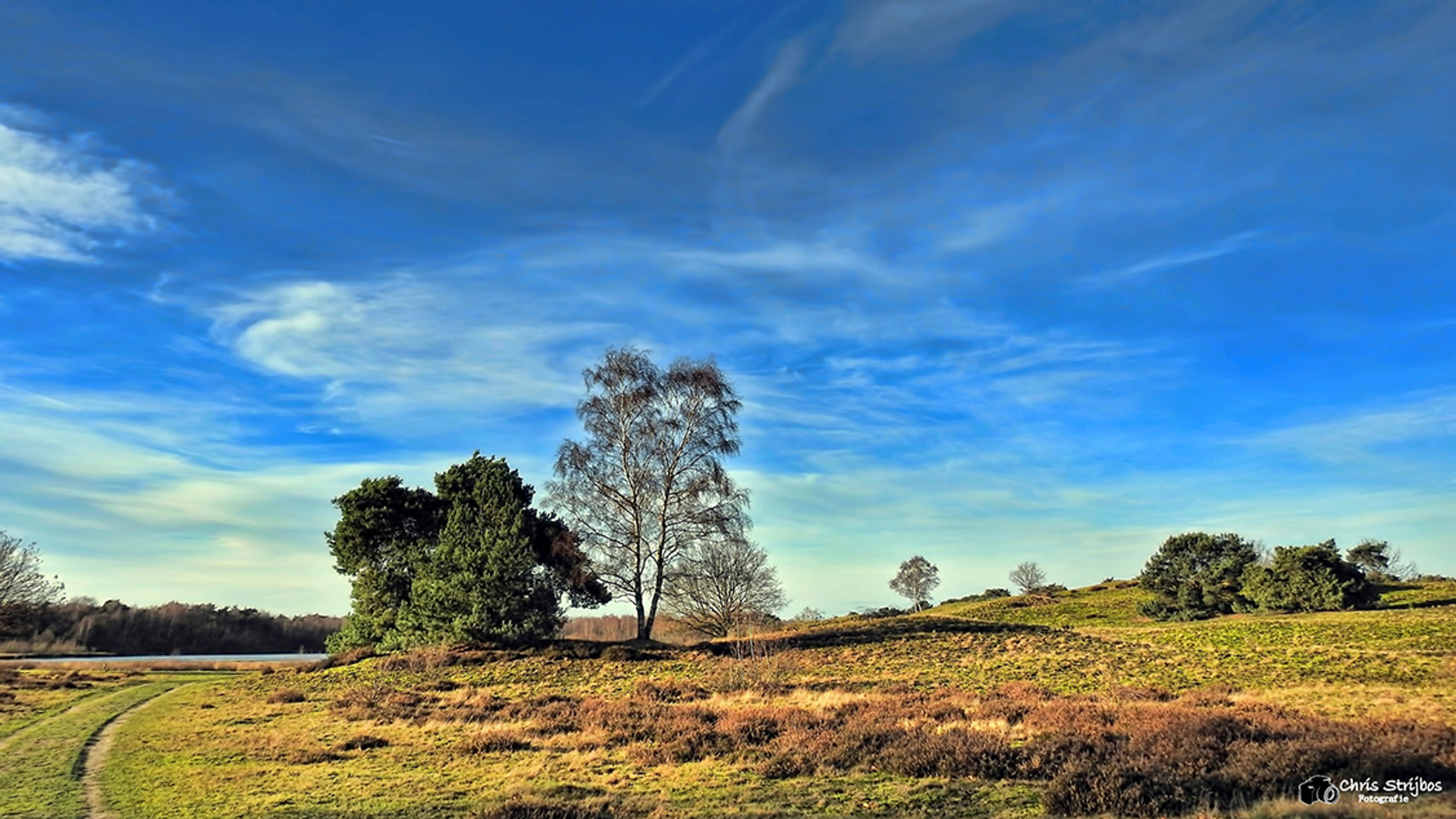 maasduinen