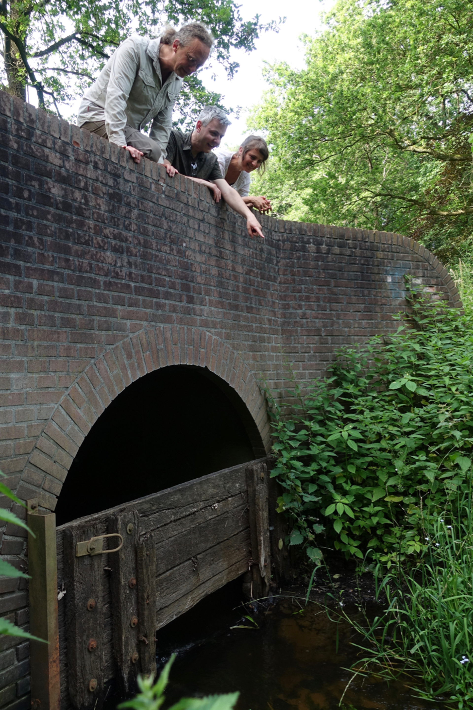 Baudewijn Odé, Laurens Sparrius, Sascha van der Meer