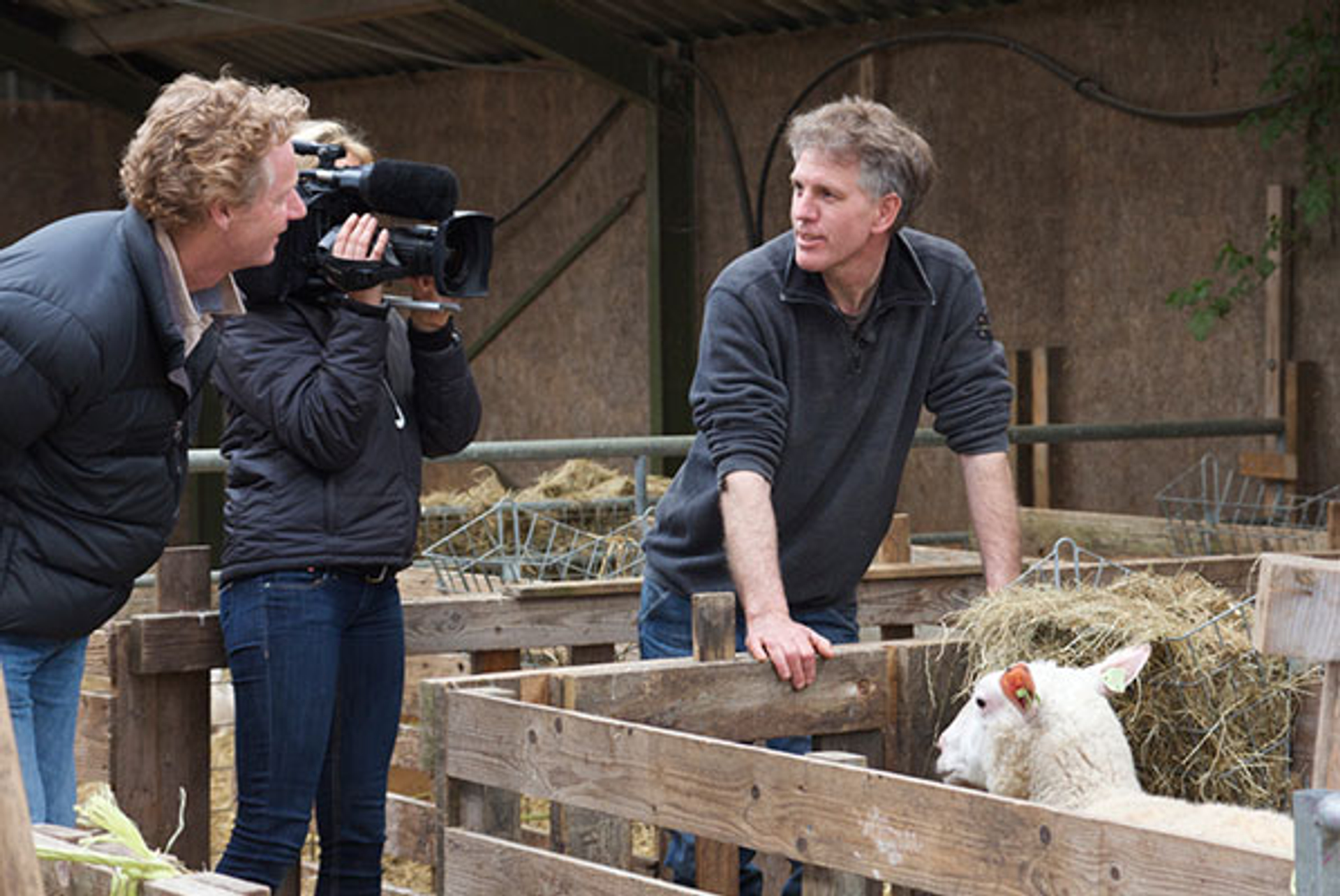 tv-boeren_Anne-Lieke-Struijk
