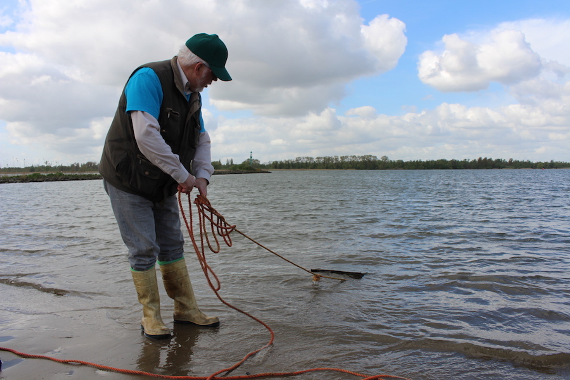 Op zoek naar de zwanenmossel