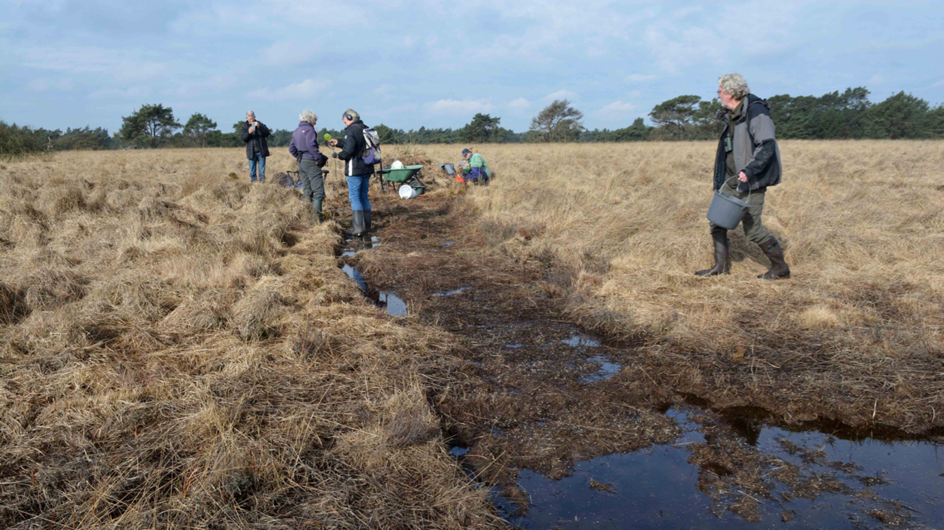 Blauwe Brigade op de bres voor gentiaanblauwtje