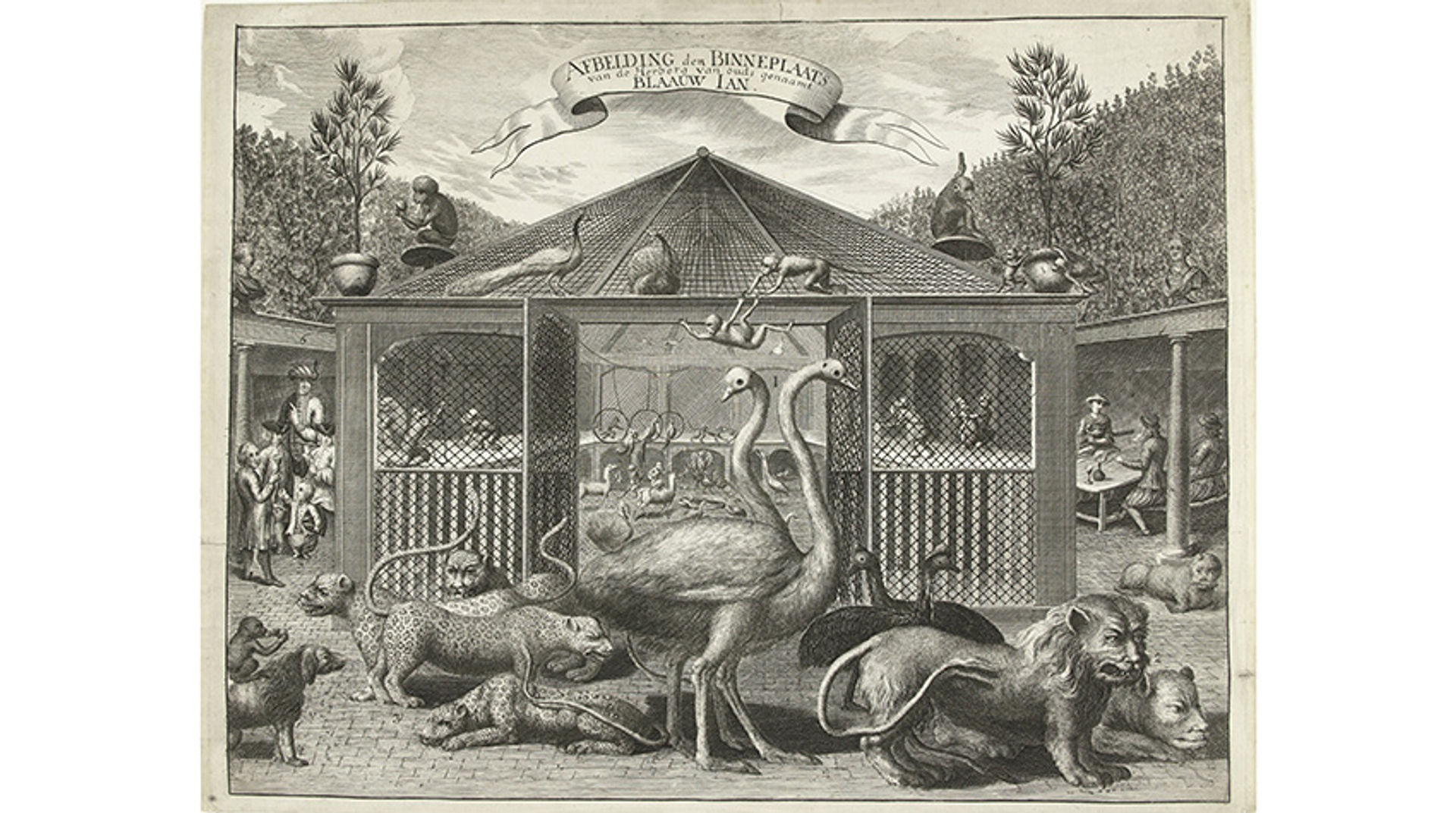 Menagerie van Blaauw Jan