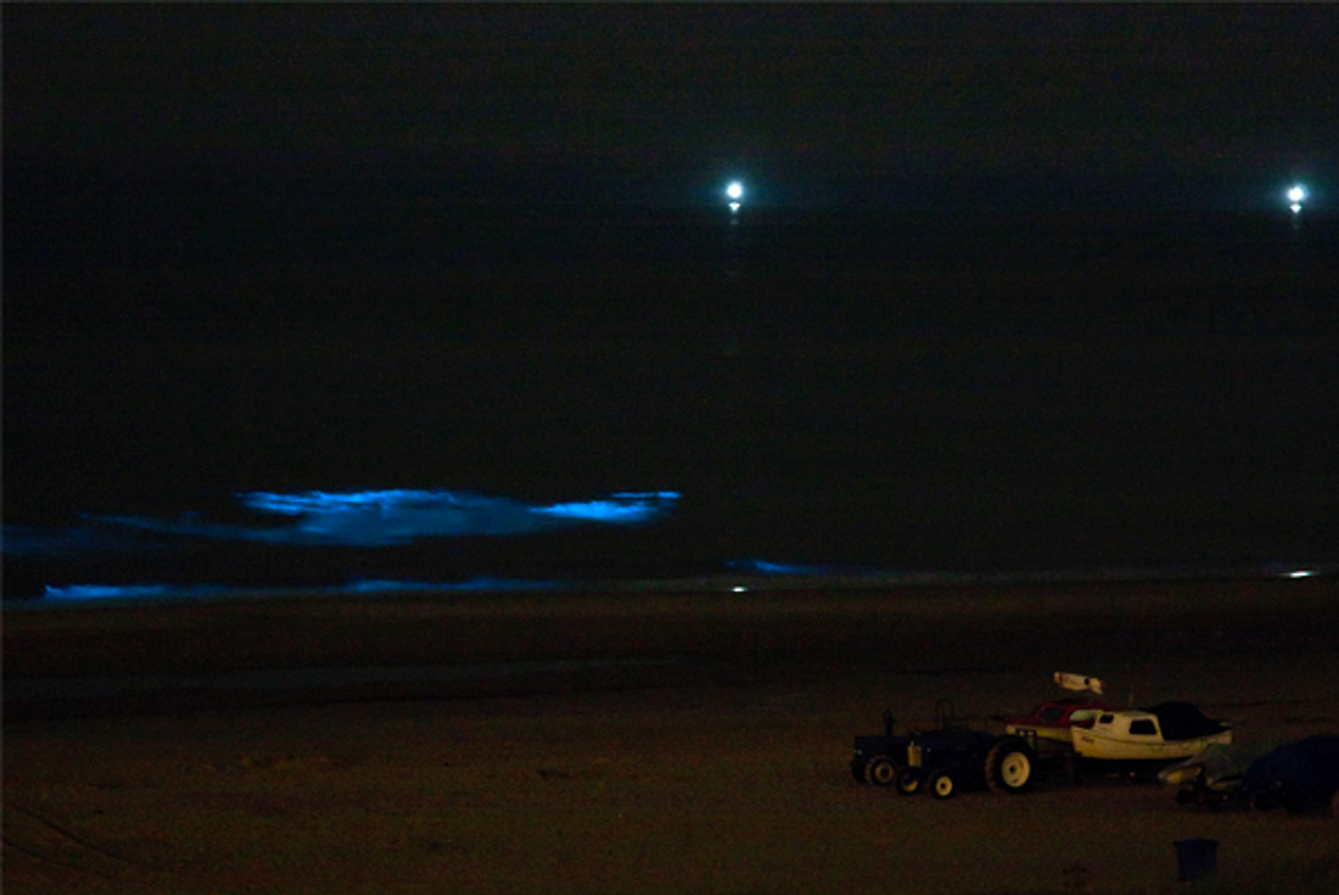 Zeevonk_Jan-Eric-Krikke