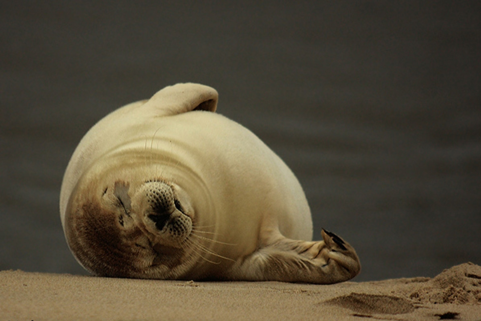 lief10